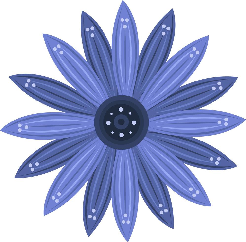 illustrazione vettoriale del fiore blu dell'osteospermum per la progettazione grafica e l'elemento decorativo