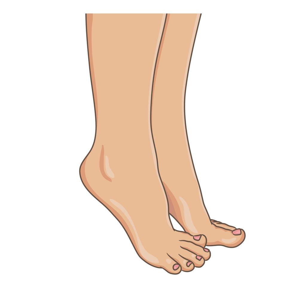 gambe femminili a piedi nudi, vista laterale. illustrazione vettoriale, stile cartone animato disegnato a mano isolato su bianco. vettore