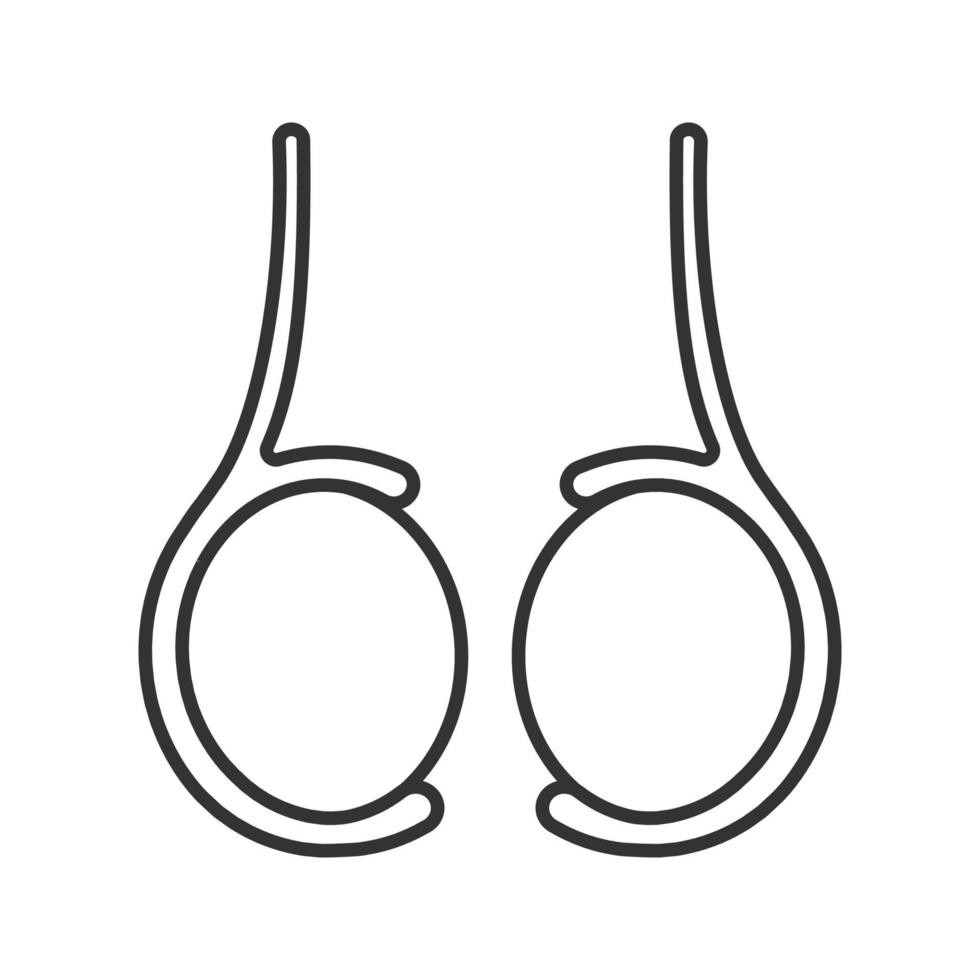 icona lineare dei testicoli. illustrazione al tratto sottile. testicolo. ghiandola riproduttiva maschile. simbolo di contorno. disegno di contorno isolato vettoriale