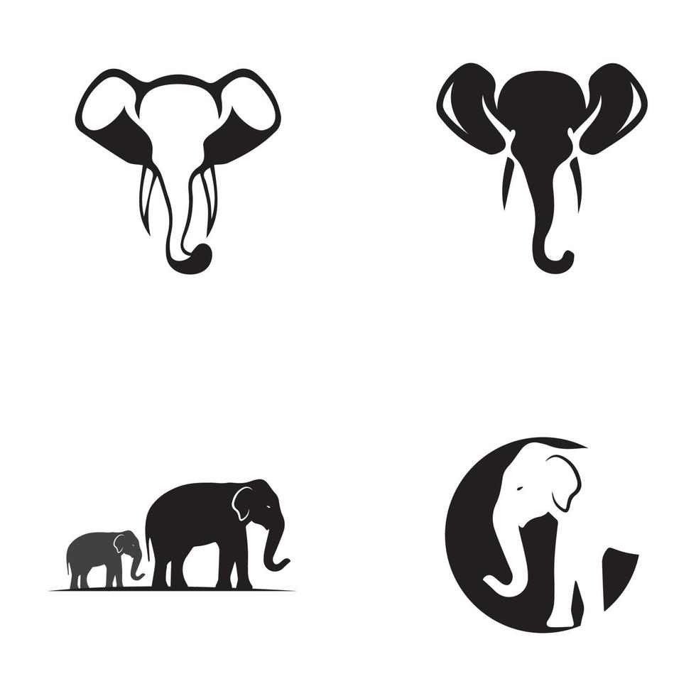 disegno dell'illustrazione di vettore del modello di logo dell'elefante