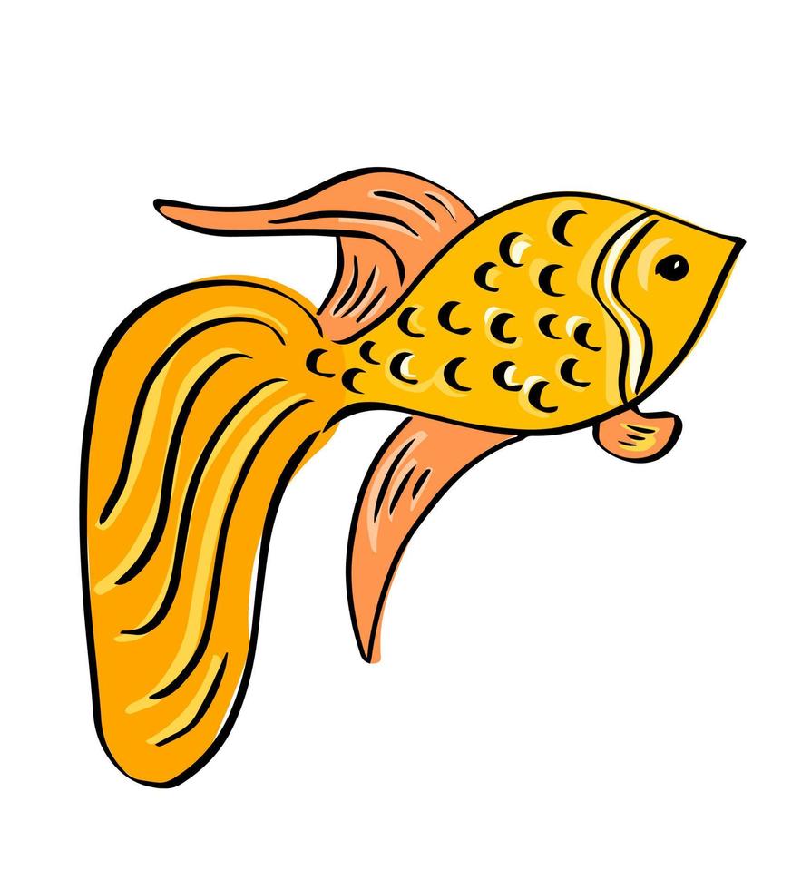 sagoma di un pesce rosso. schizzo disegnato a mano del pesce d'oro. illustrazione vettoriale. vettore