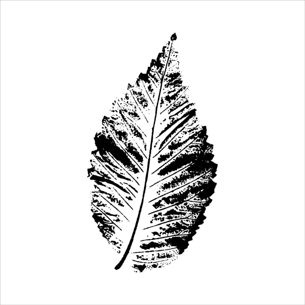 impronte di foglie nere su sfondo bianco. elementi floreali disegnati a mano. timbro di fogliame vettoriale