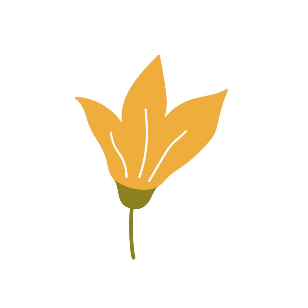 carino fiore giallo isolato su sfondo bianco. illustrazione vettoriale in stile piatto disegnato a mano. perfetto per biglietti, loghi, decorazioni, design primaverili ed estivi. clipart botaniche.