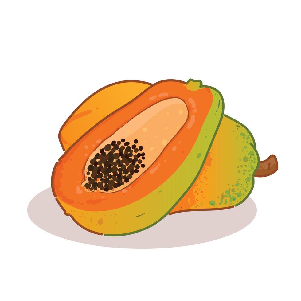 segno dell'icona organica della frutta della papaia o illustrazione disegnata a mano del fumetto di simbolo vettore