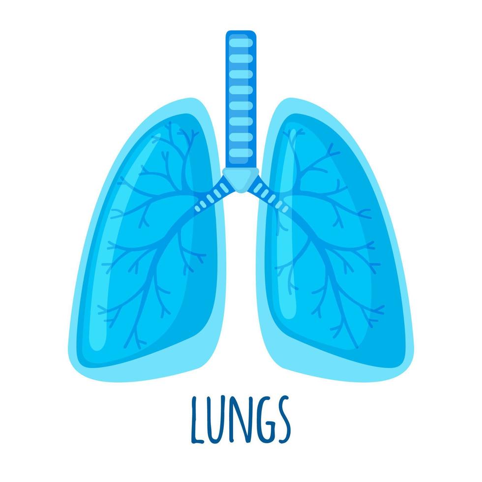 icona del polmone umano in stile piano isolato su priorità bassa bianca. concetto di assistenza sanitaria e medica. illustrazione vettoriale. vettore