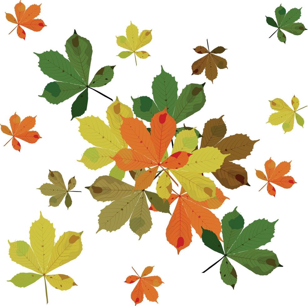 mucchio di foglie di castagno multicolori autunnali. illustrazione di riserva di vettore. vettore