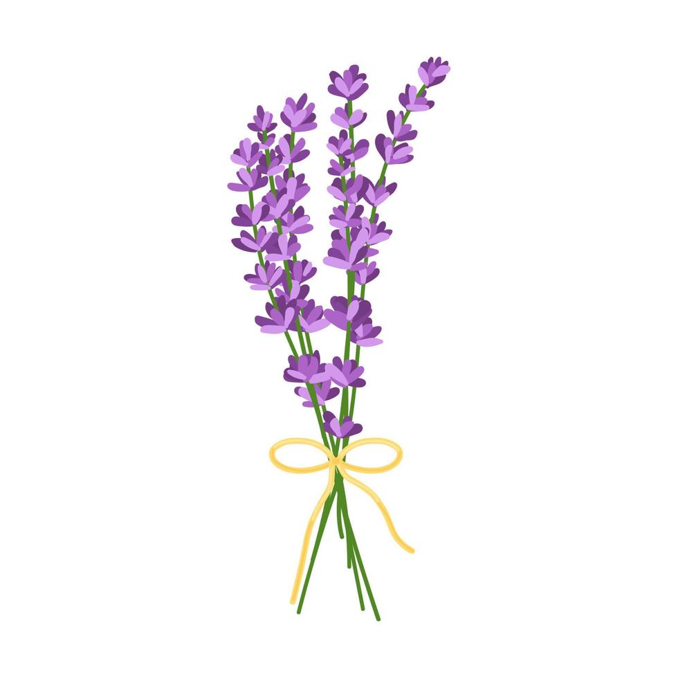 bouquet di fiori di lavanda. illustrazione vettoriale di fiori di lavanda isolati su sfondo bianco