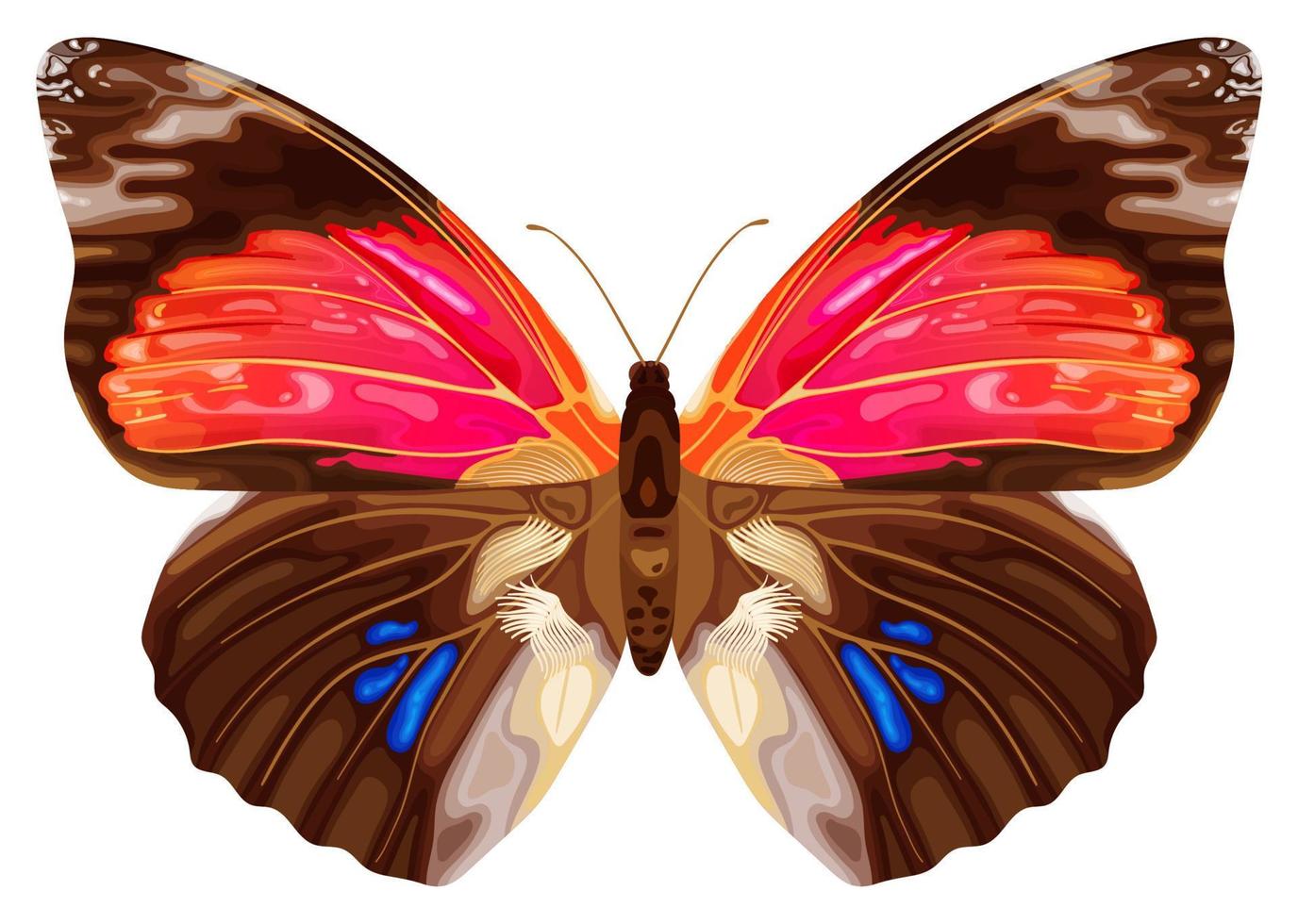 farfalla esotica rosa. insetto tropicale. colori neon. stock illustrazione vettoriale isolato su sfondo bianco.