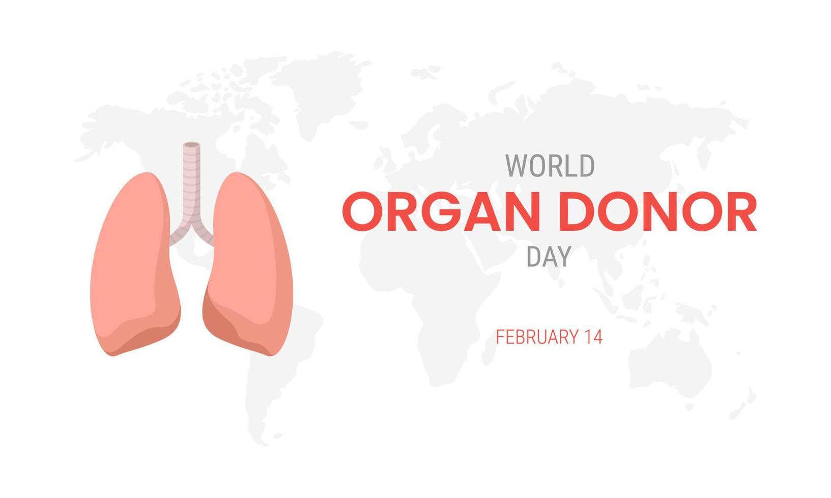Giornata nazionale del donatore di organi con i polmoni vettore