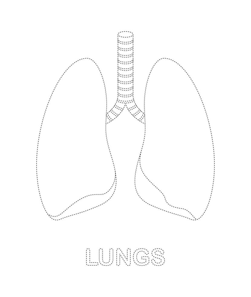 foglio di lavoro di tracciamento dei polmoni per bambini vettore
