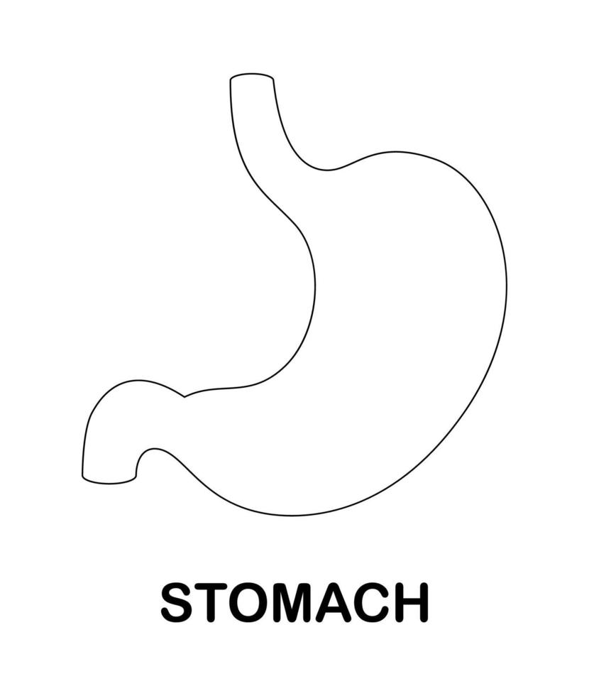 pagina da colorare con lo stomaco per i bambini vettore