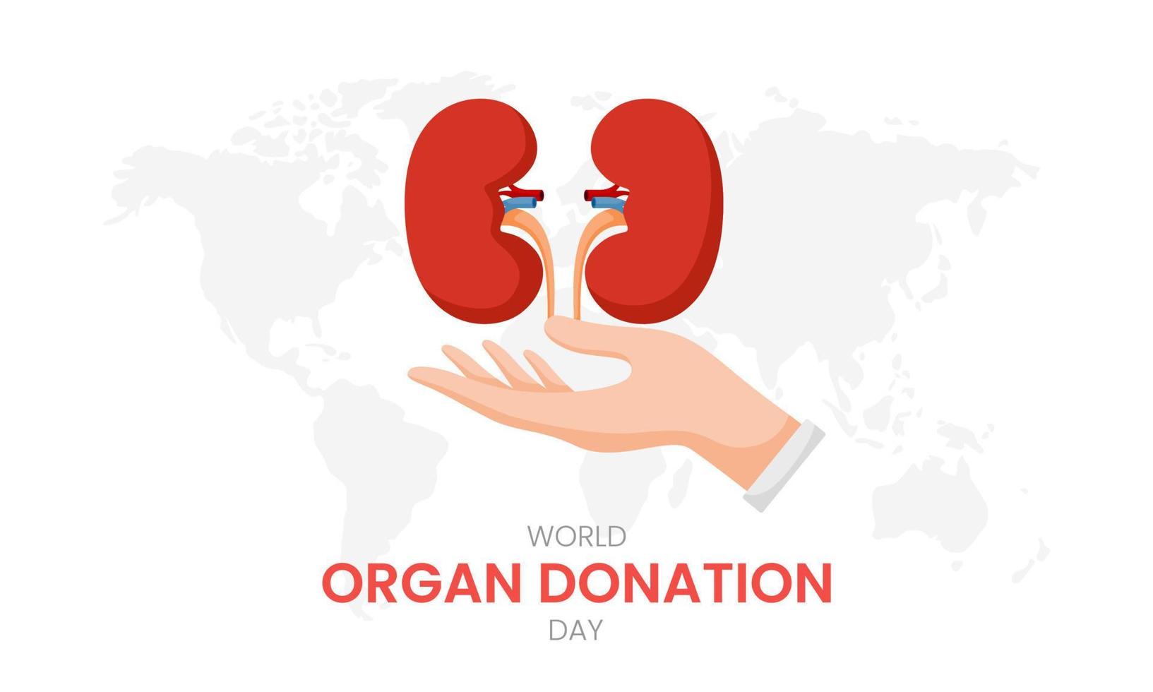 Giornata nazionale del donatore di organi con i reni vettore