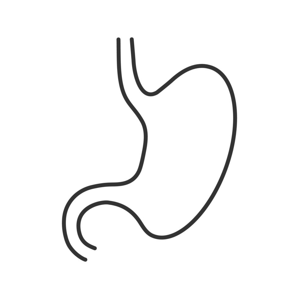 icona lineare dello stomaco. illustrazione al tratto sottile. tratto gastrointestinale. simbolo di contorno. disegno di contorno isolato vettoriale