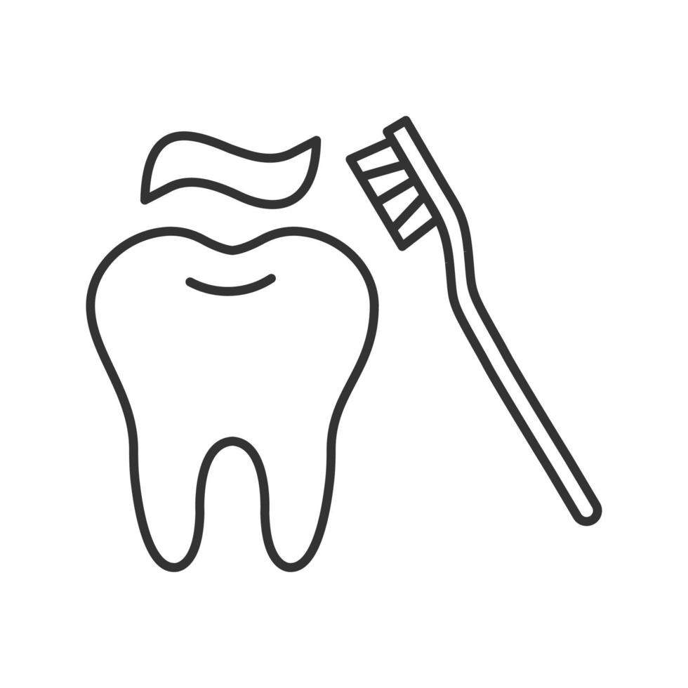 icona lineare di pulizia dei denti corretta. illustrazione al tratto sottile. dente con spazzolino da denti. simbolo di contorno. disegno di contorno isolato vettoriale