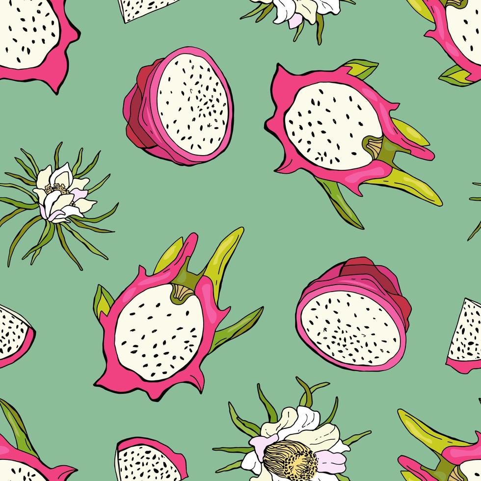 frutto del drago rosso. modello senza cuciture di frutta con pitahaya. design per tessuti, tessuti, carta da parati, imballaggi. vettore