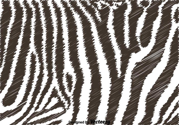 Sfondo zebra in bianco e nero vettore