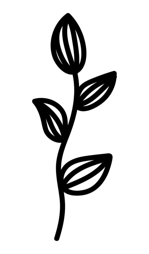 ramo di doodle con elemento decorativo foglie. disegno di illustrazione vettoriale botanica, elemento nero disegnato a mano isolato.