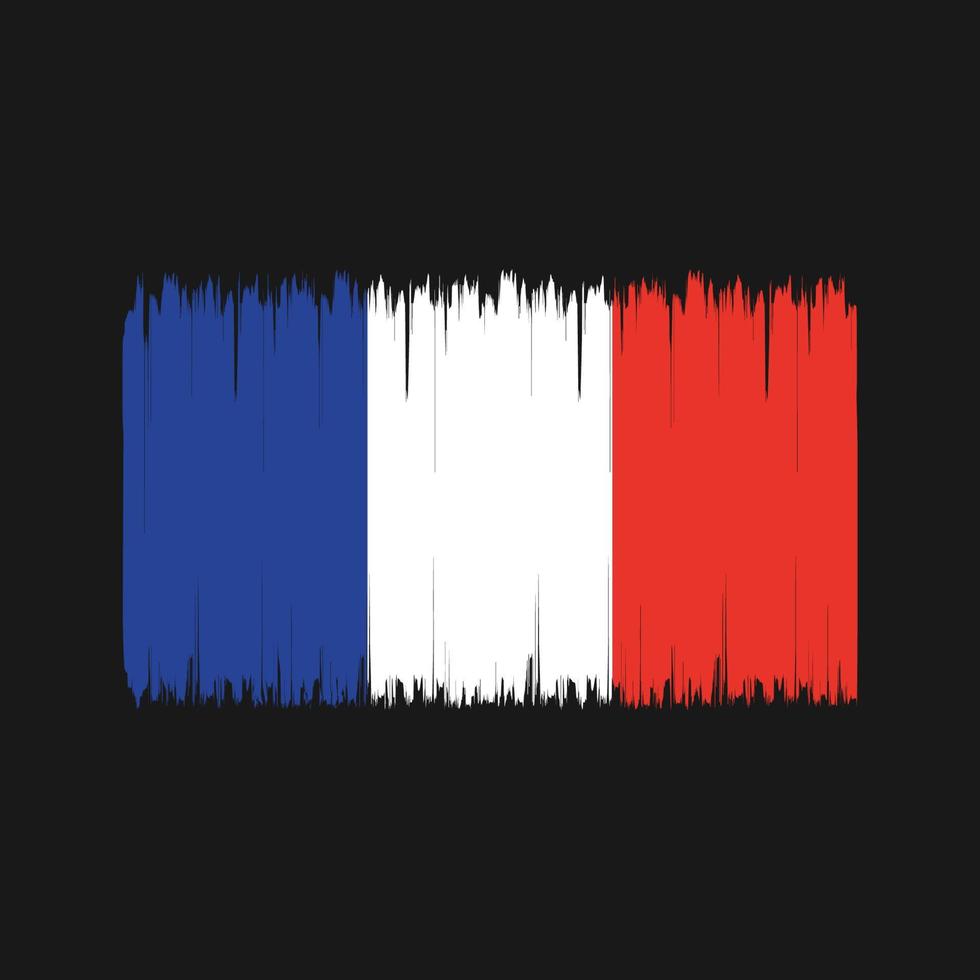 pennello bandiera francia. bandiera nazionale vettore