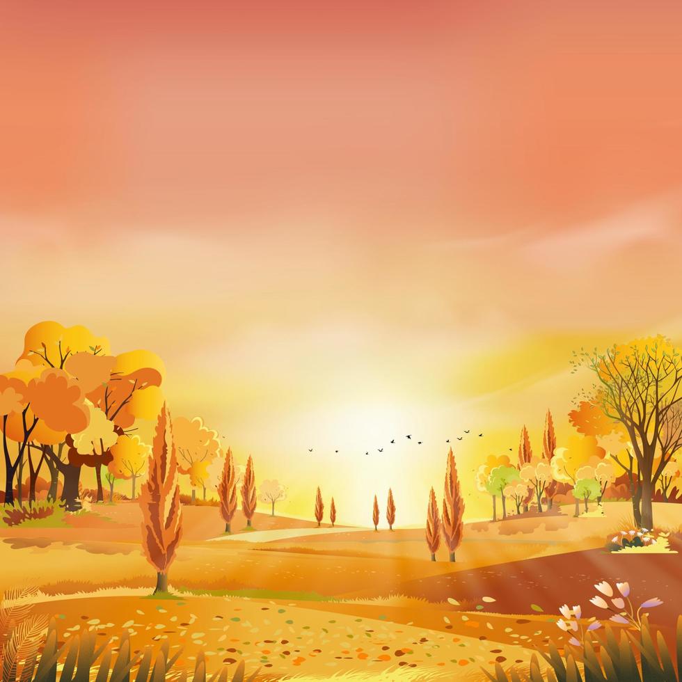 paesaggio rurale autunnale alla luce della sera con sfondo del cielo tramonto, giallo, rosa, arancione, stagione autunnale del fumetto vettoriale in campagna con albero forestale e campo in erba con alba, banner naturale sullo sfondo