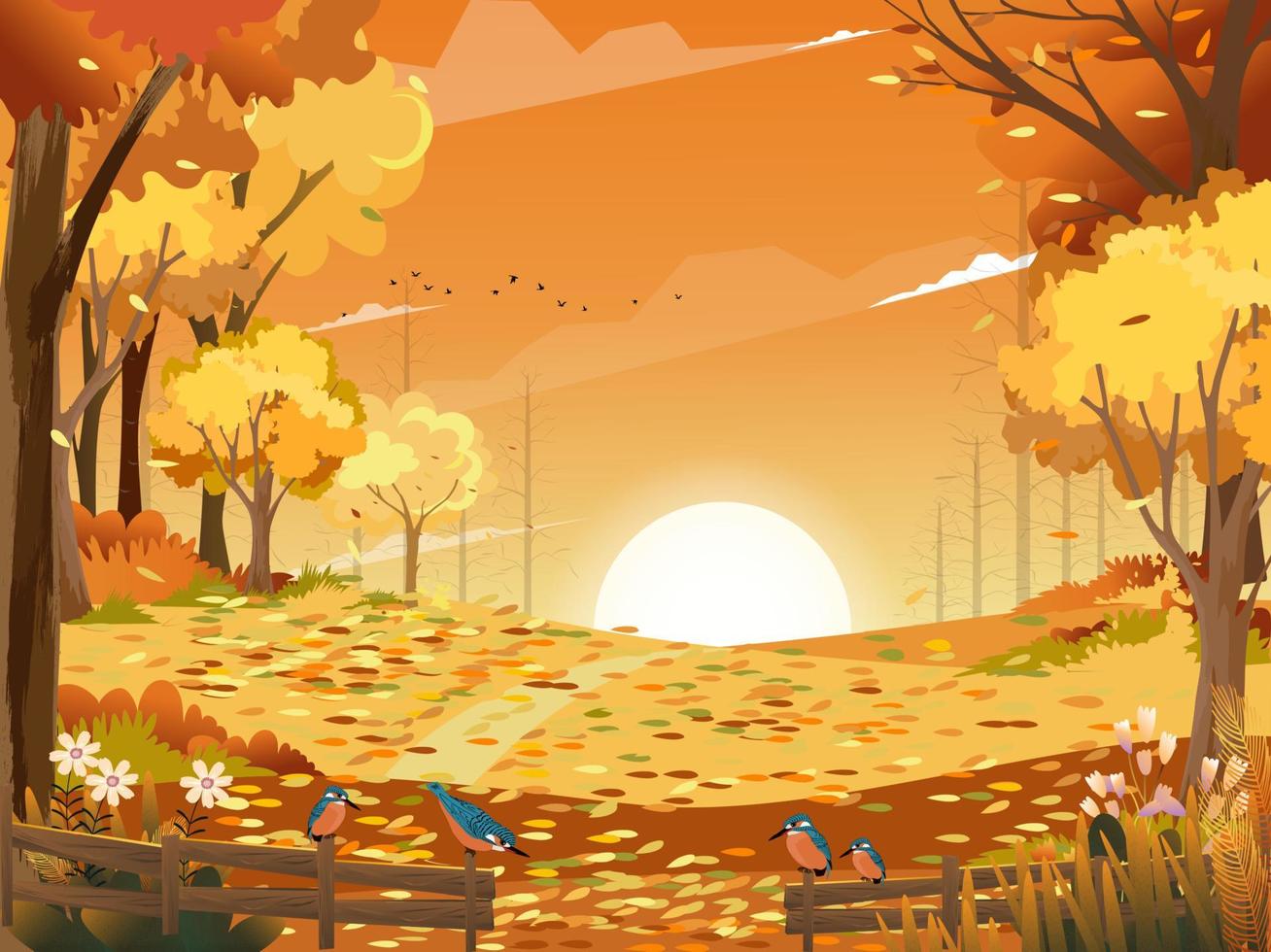 paesaggio autunnale foresta delle meraviglie con terreno erboso, metà autunno naturale in fogliame arancione, stagione autunnale con splendida vista panoramica con tramonto dietro la montagna e foglie di acero che cadono dagli alberi vettore