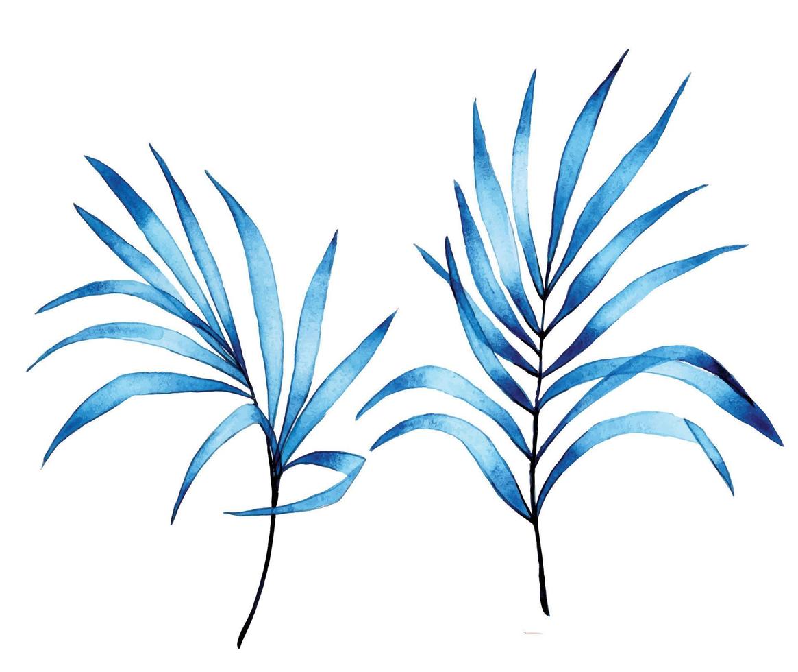 disegno ad acquerello. set di foglie di palma tropicali trasparenti di colore blu. foglie trasparenti astratte, foresta pluviale. vettore