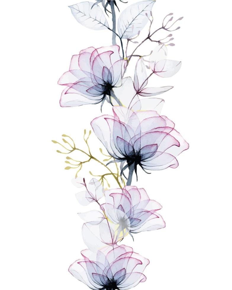 bordo ad acquerello senza cuciture di fiori di rosa trasparenti e foglie di eucalipto isolati su sfondo bianco. fiori blu e rosa trasparenti, raggi x. design vintage per matrimoni, carte, inviti. vettore