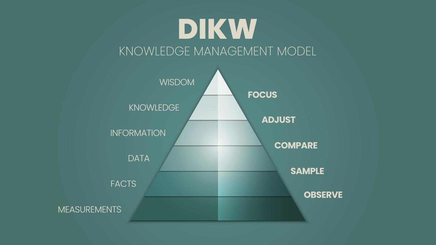 un'illustrazione vettoriale della gerarchia dikw ha saggezza, conoscenza, informazione e la piramide dei dati in 4 fasi qualitative, d è dati, i è informazione, k è conoscenza e w è saggezza.