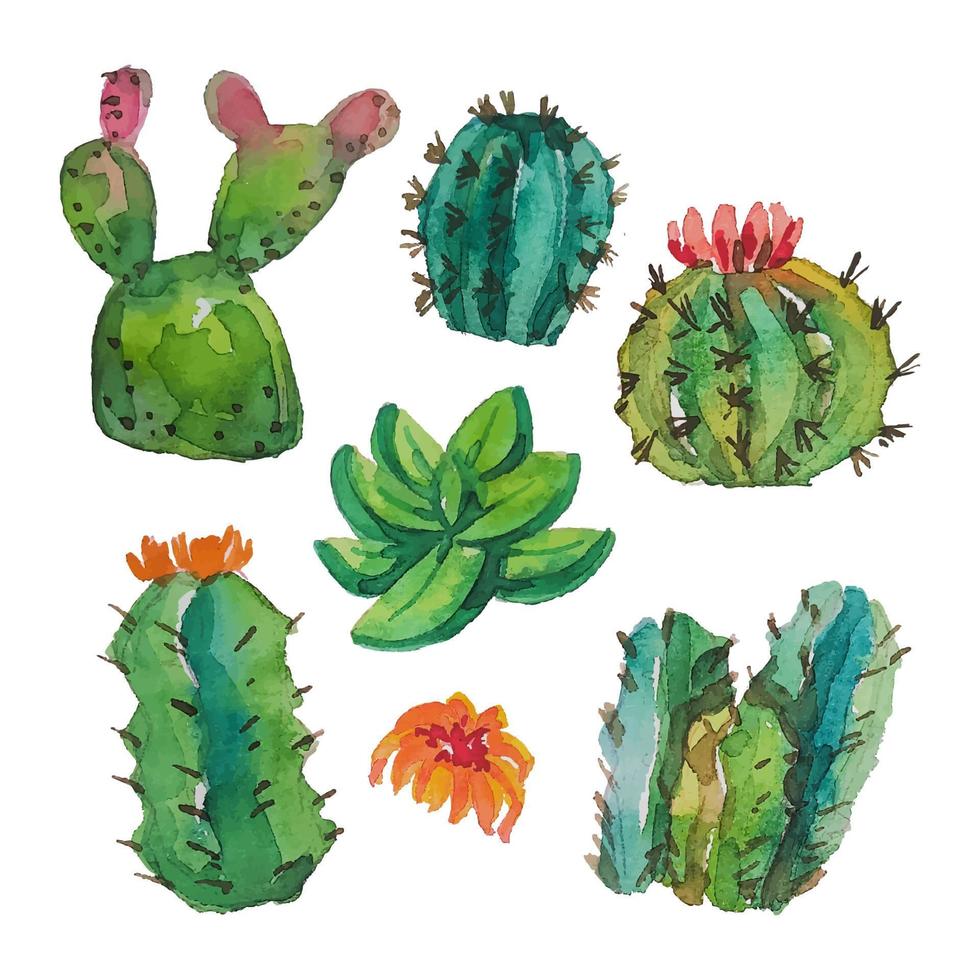 illustrazione dell'acquerello del cactus vettore