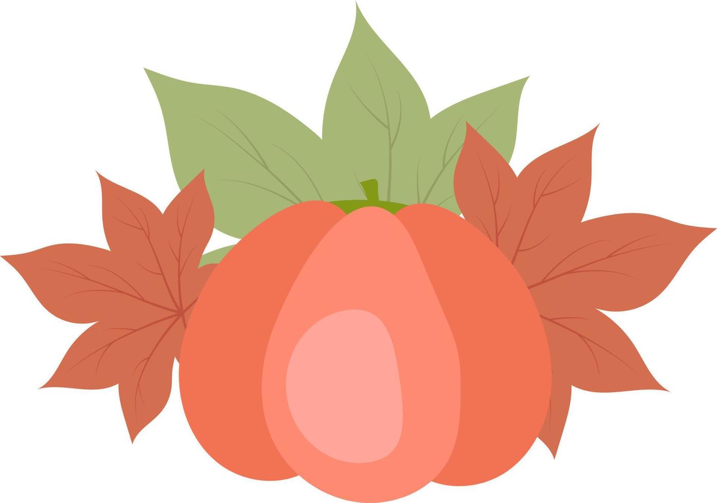 zucca matura e foglie autunnali oggetto vettore colore semi piatto. raccolto raccolto. oggetto a grandezza naturale su bianco. illustrazione in stile cartone animato semplice per tutta la stagione per la progettazione grafica e l'animazione web