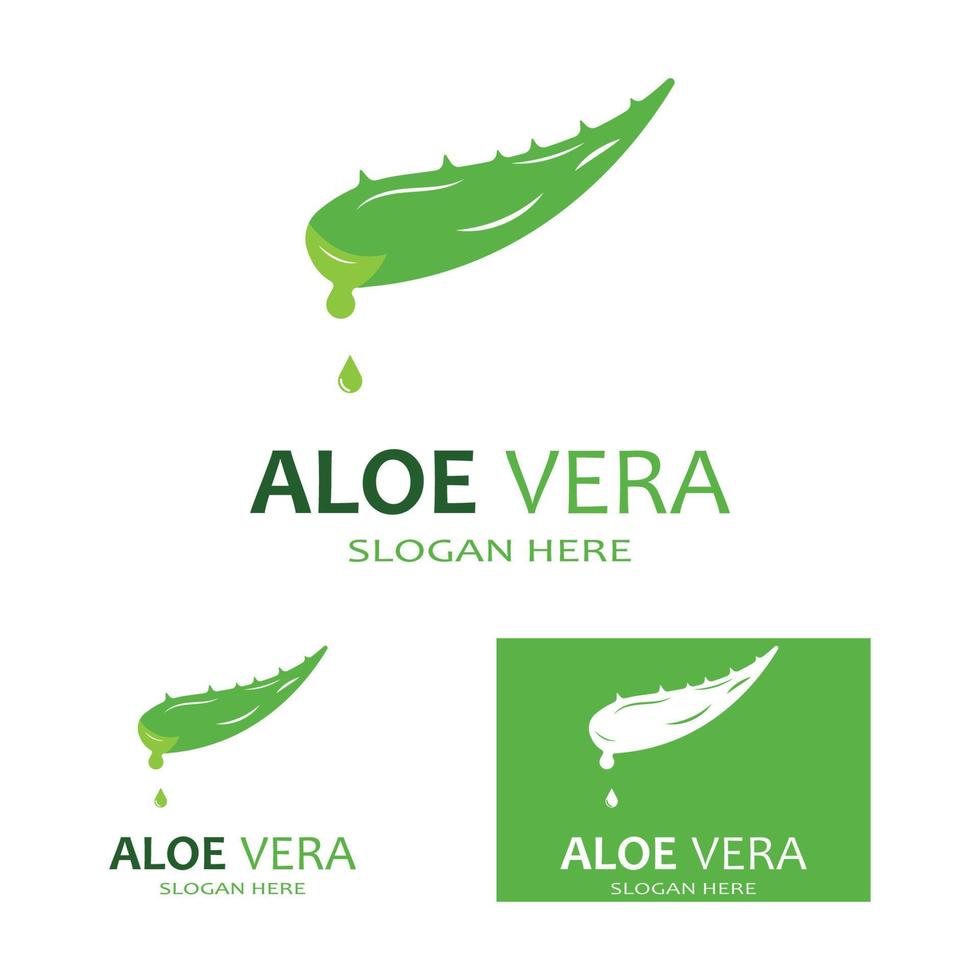 modello di illustrazione vettoriale logo aloe vera