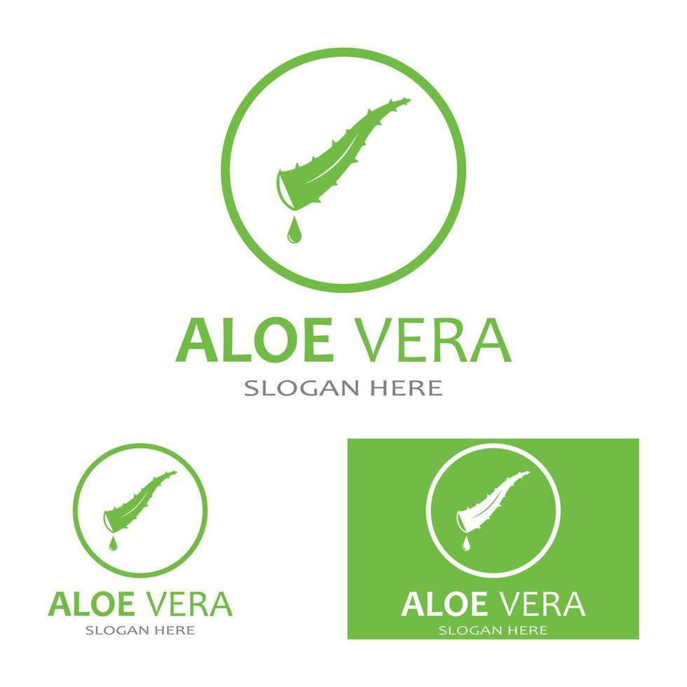 modello di illustrazione vettoriale logo aloe vera