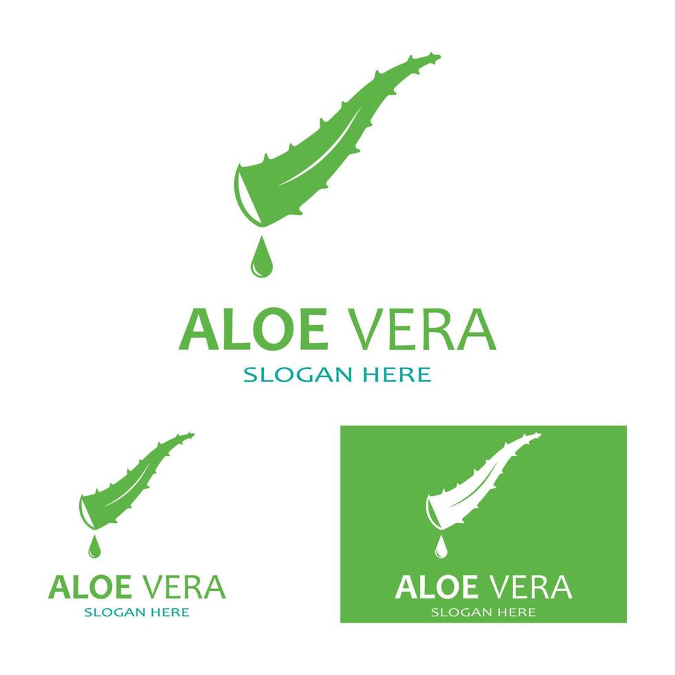 modello di illustrazione vettoriale logo aloe vera