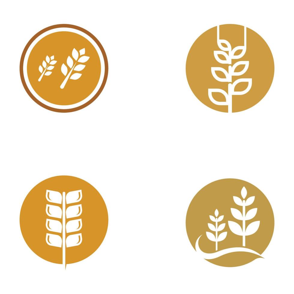 logo di grano o cereali, campo di grano e logo della fattoria di grano.con illustrazioni di modifica facili e semplici. vettore