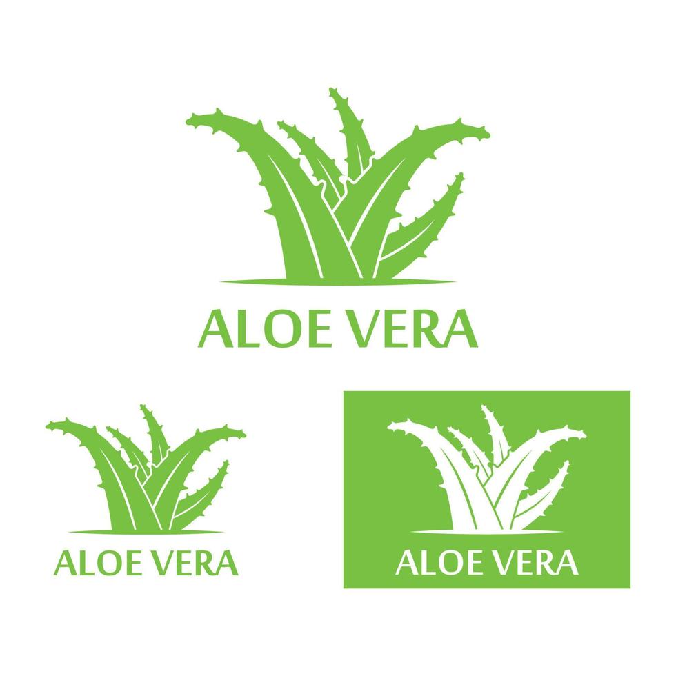 modello di illustrazione vettoriale logo aloe vera