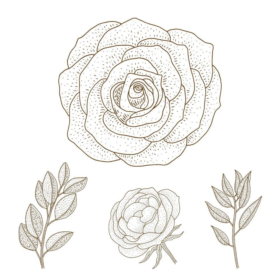 rose e foglie disegnate a mano d'annata vettore