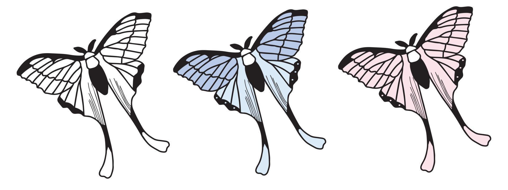 farfalla nera blu e rosa. illustrazione vettoriale. design per moda, carte, poster vettore
