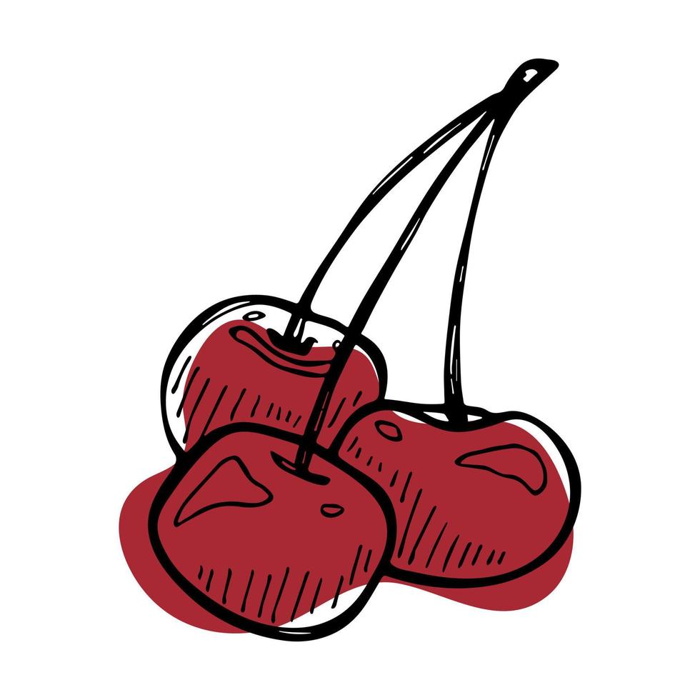 clipart di ciliegia vettoriale. icona di bacca disegnata a mano. illustrazione di frutta vettore