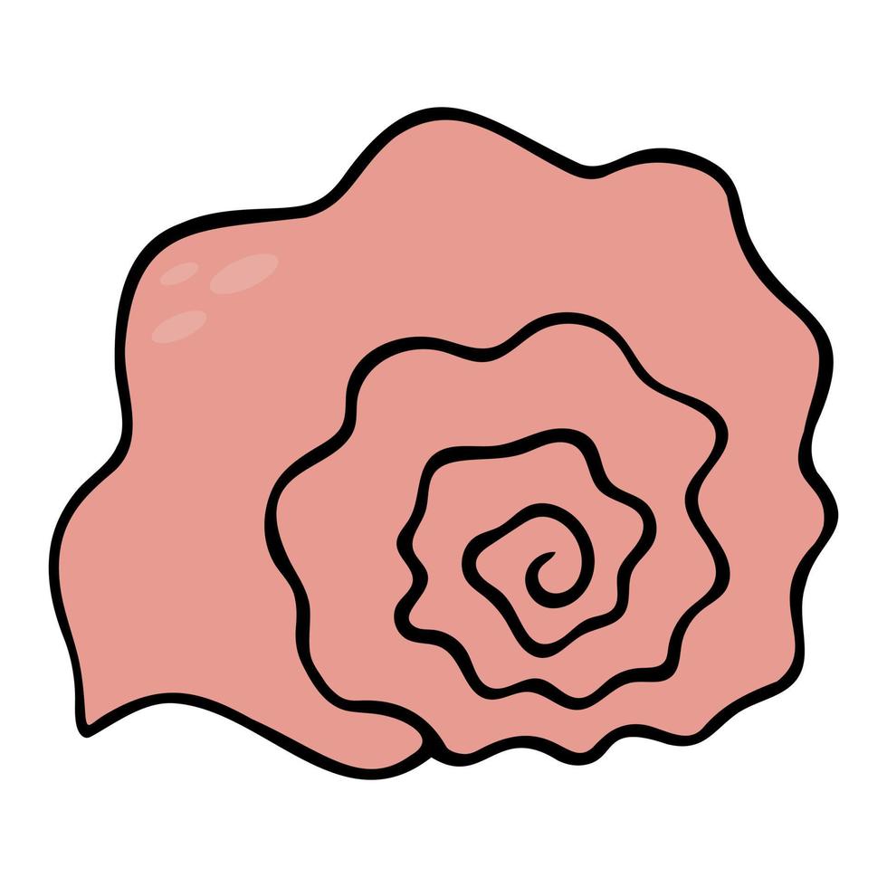 conchiglia. fossile sottomarino rosa. illustrazione vettoriale a colori. sfondo isolato. stile cartone animato. ex casa della vongola. esoscheletro invertebrato. idea per il web design.