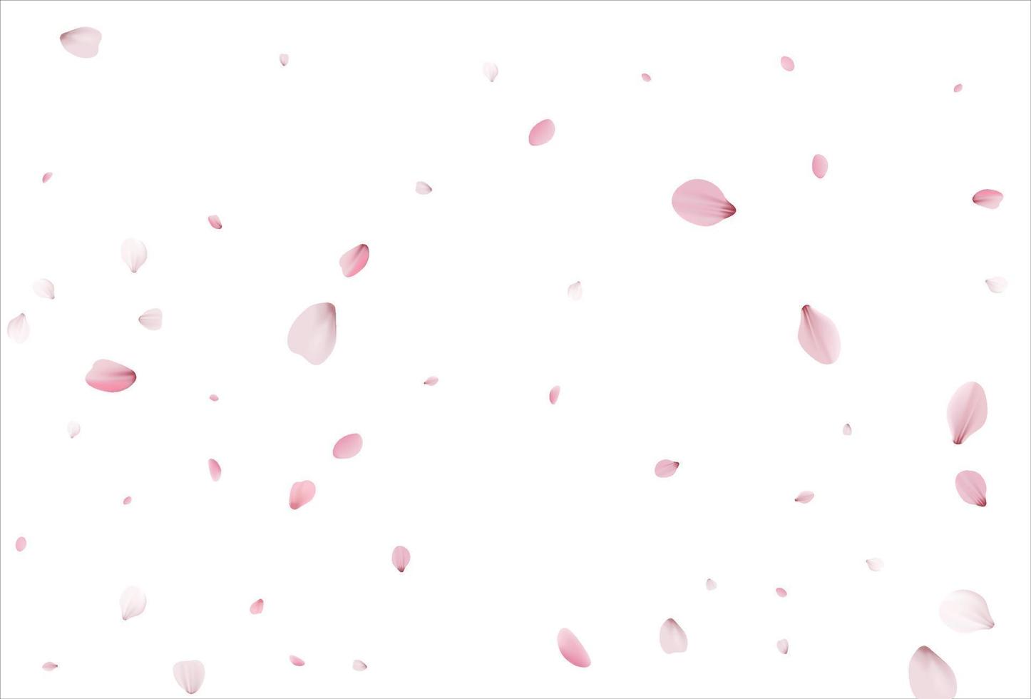sfondo di petali di sakura. sfondo di petali di ciliegio vettore