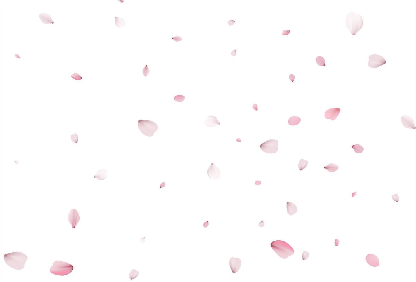sfondo di petali di sakura. sfondo di petali di ciliegio vettore