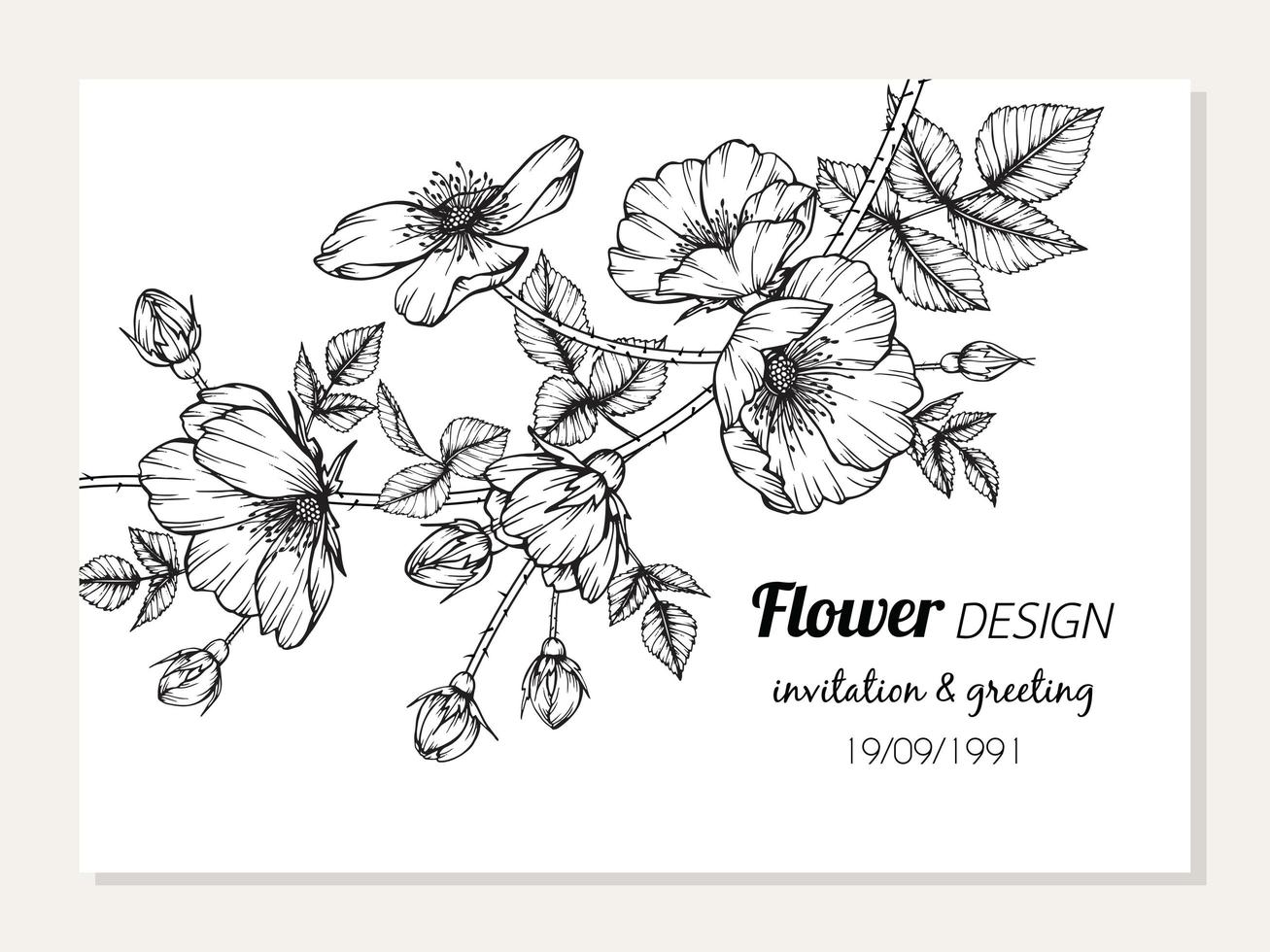 card design con fiori e foglie di rosa selvatica vettore