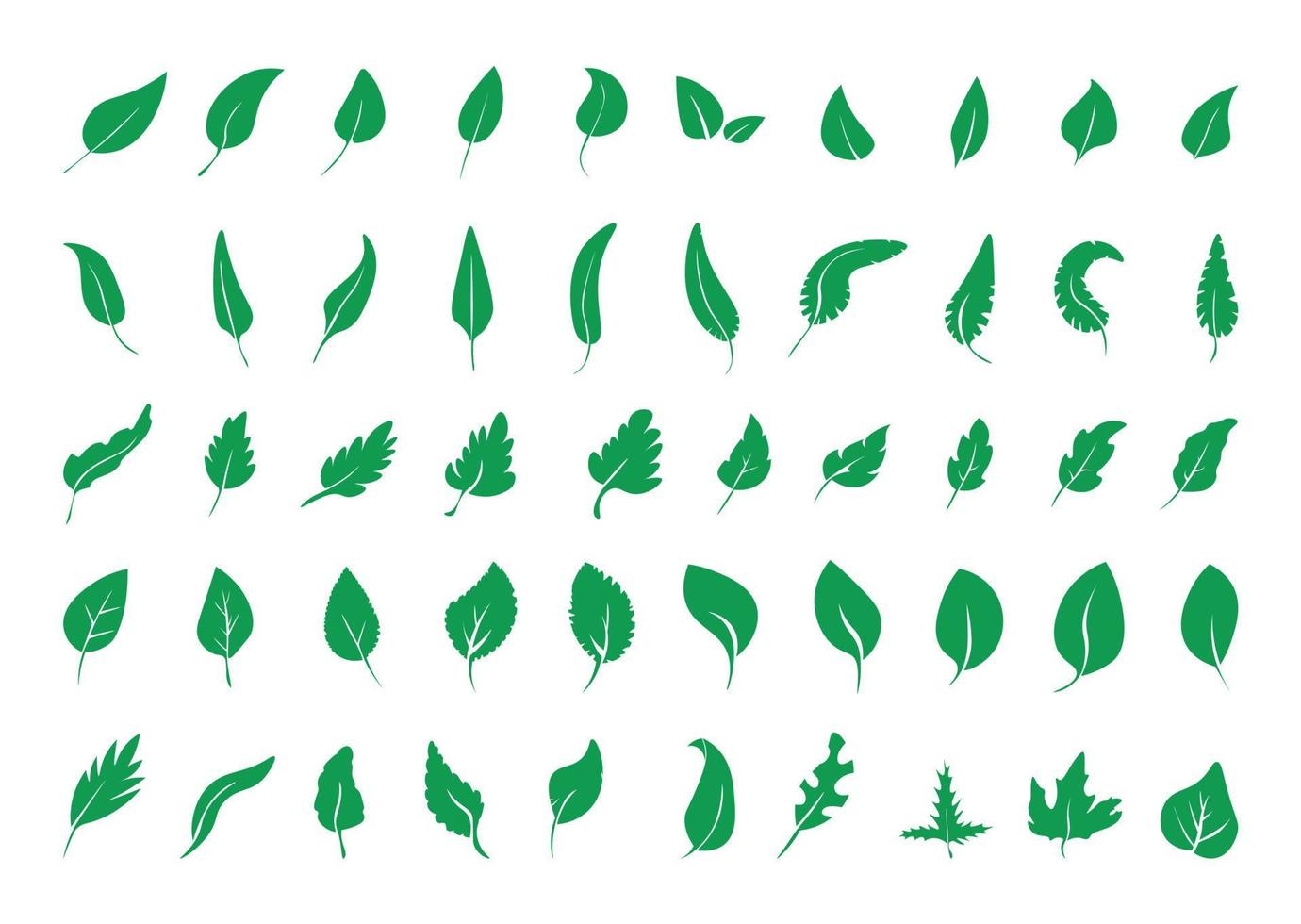 raccolta di foglie verdi vettore