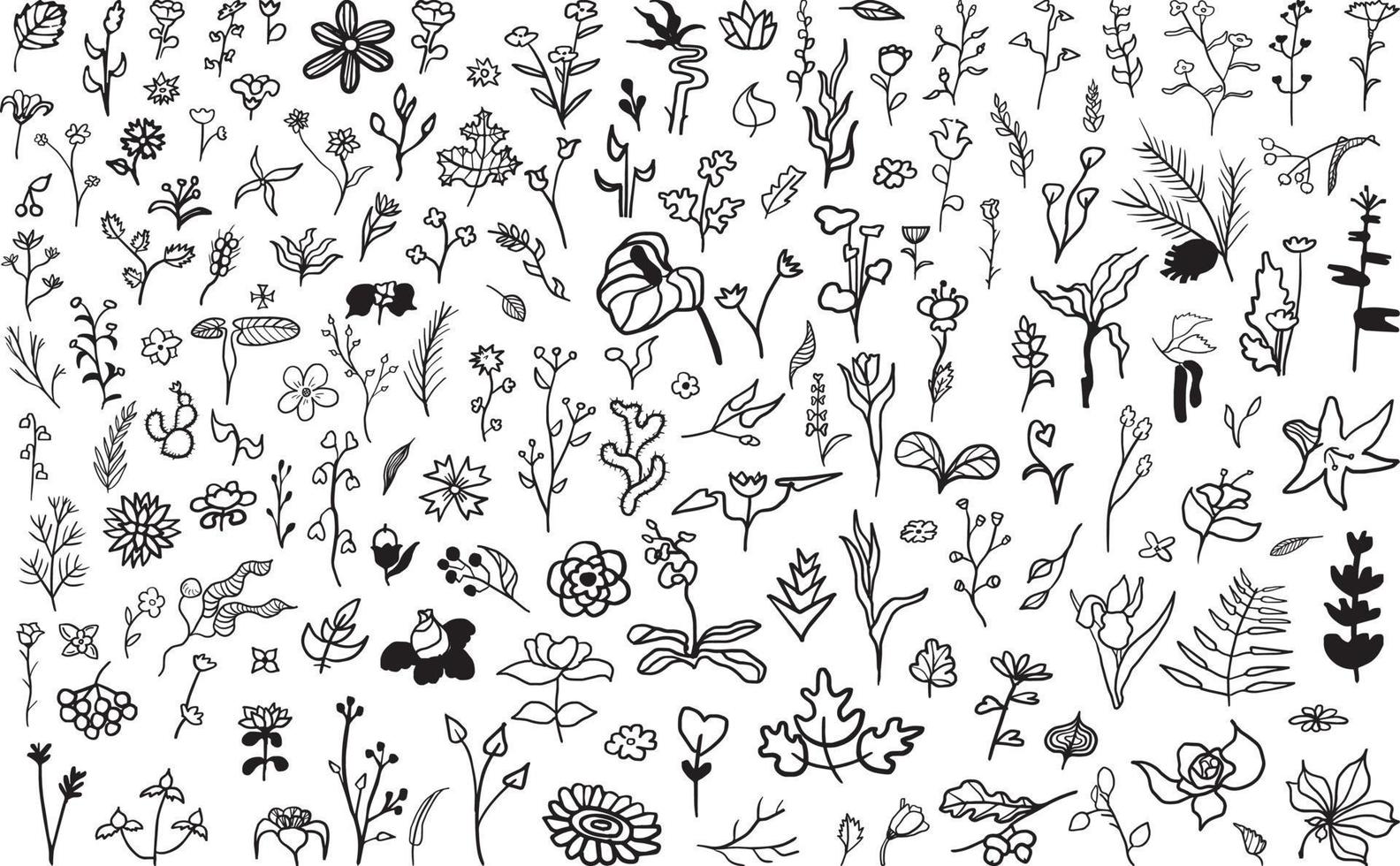 set di fiori di doodle vettore