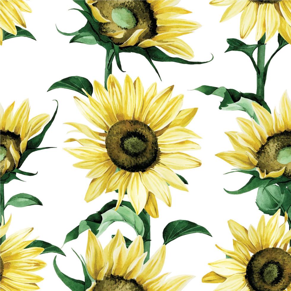 modello senza cuciture dell'acquerello con girasoli isolati su priorità bassa bianca. stampa autunnale, fiori di girasole gialli. tema autunnale, agricoltura, giorno del ringraziamento. vettore