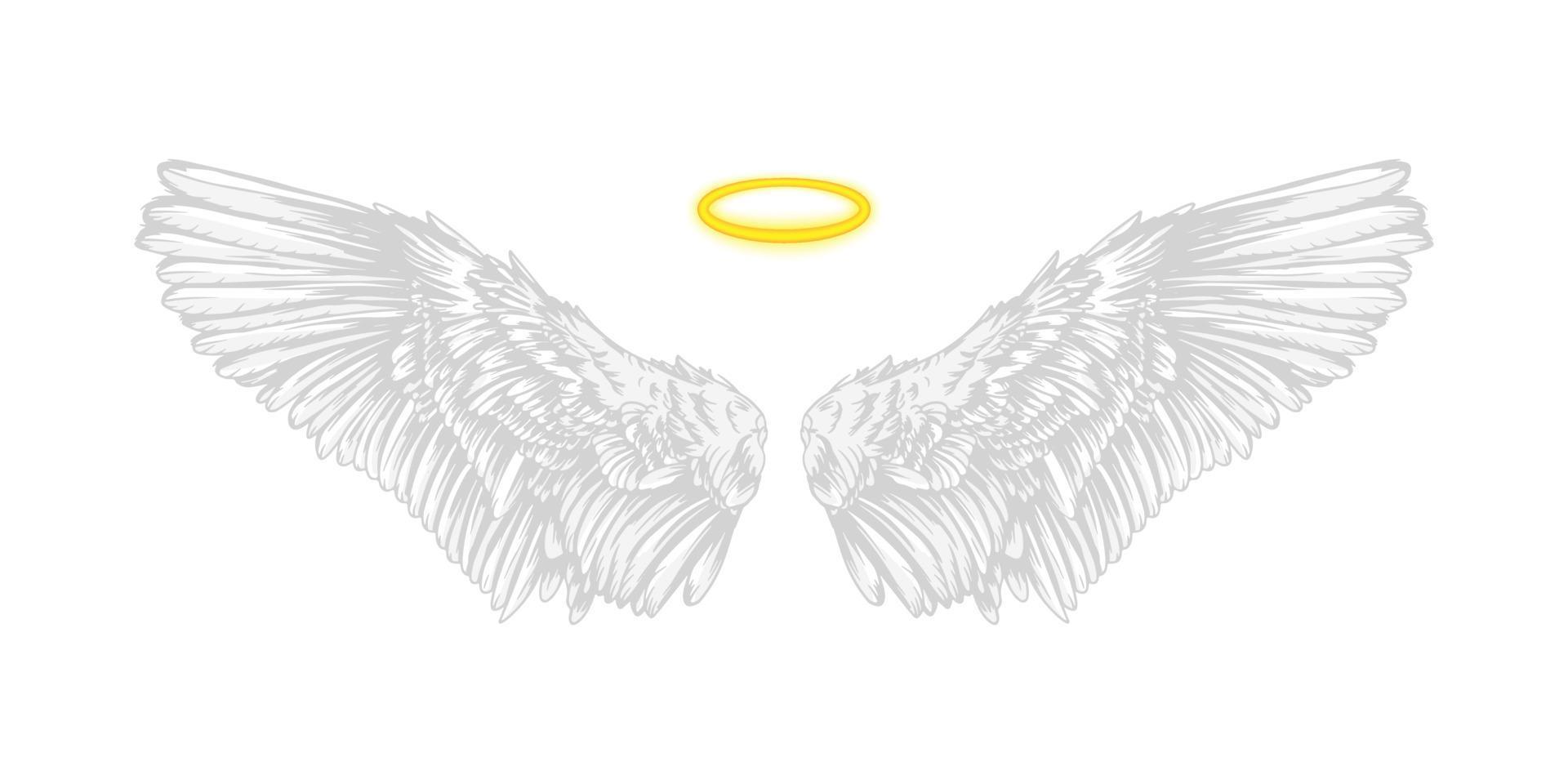 ali d'angelo religiose realistiche. paio isolato bianco di ali di falco, modello di disegno di ali di uccello di schizzo. concetto di vettore bianco carino ala piumata animale su sfondo bianco