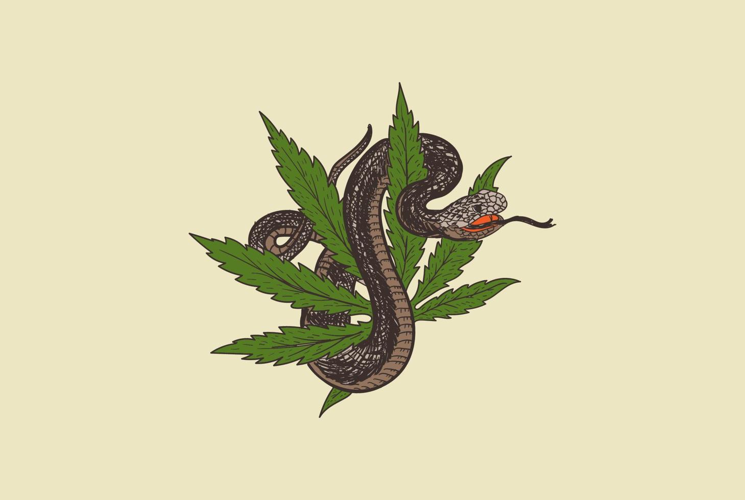 foglia di marijuana di cannabis vintage retrò con serpente mamba vipera cobra per vettore di disegno del tatuaggio