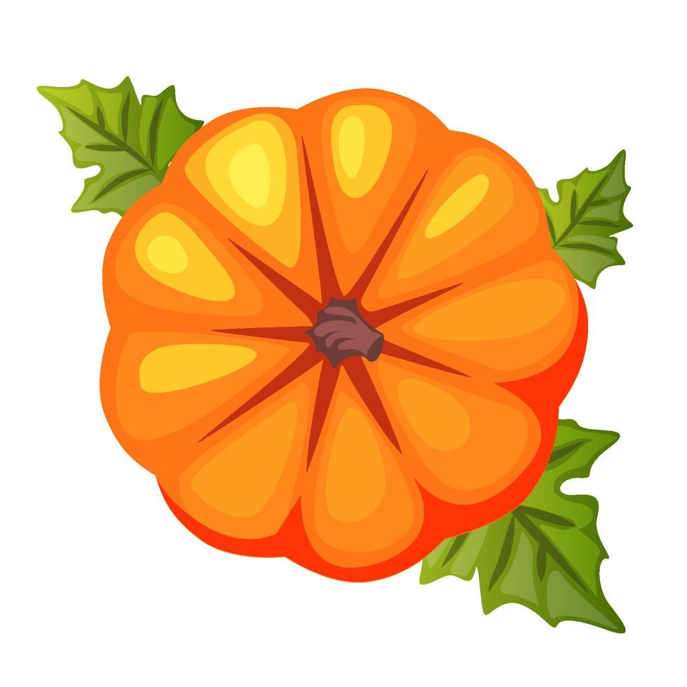 zucca arancione del fumetto, vista dall'alto. simbolo felice ringraziamento. icona di zucca vettore