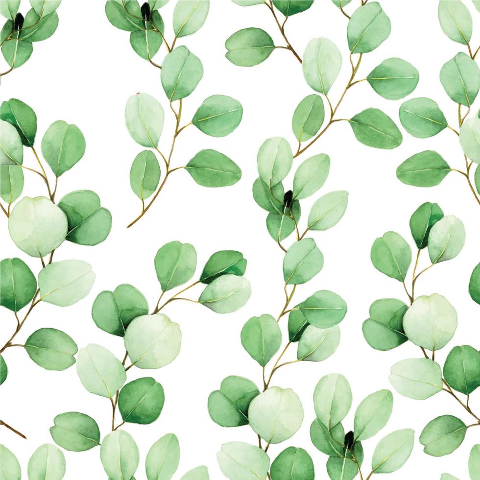 modello senza cuciture dell'acquerello con foglie di eucalipto su sfondo bianco. disegno vintage, foglie verdi di pianta tropicale di eucalipto. design per matrimoni, sfondi, tessuti, biglietti, inviti. vettore