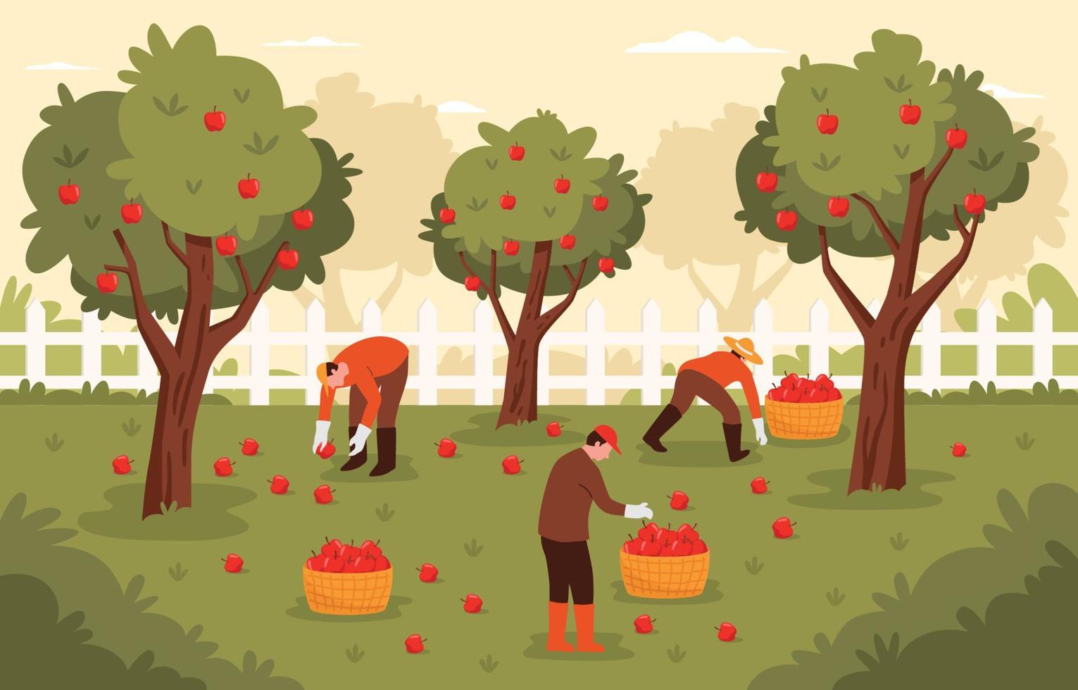 persone che raccolgono mele nel campo vettore