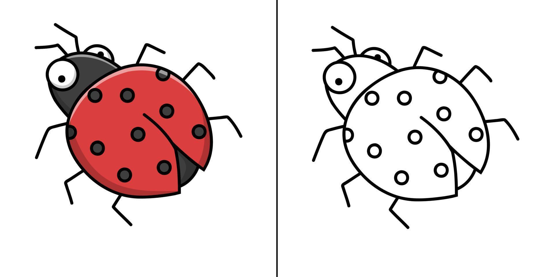 cartone animato icona coccinella. scarabeo simbolo vettore bambini libro da colorare